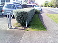 Select Lawnmowing image 6