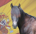 Serendipity Equine logo