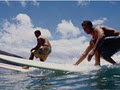 Surfaris Surf School & Tours image 2