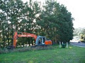Total Tree Removal - Orchard Removal & Tree Services Bay of Plenty image 1