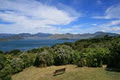 Tui Nature Reserve image 1