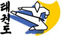Welcome Bay Olympic Taekwondo Club image 1