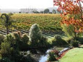 West Brook Winery image 3