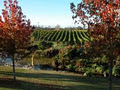 West Brook Winery image 4