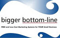 bigger bottom-line limited logo