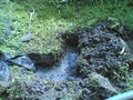 Green Environmental Septic Tank Cleaning image 6