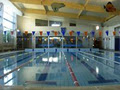 Hilton Brown Swimming - Albany image 3
