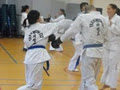 Jungshin Taekwon-Do Martial Arts (Whangaparaoa) image 1