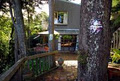 Nelson Bed and Breakfast - Bushwalk Bed and Breakfast Homestay image 1