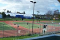 Otumoetai Tennis Club logo