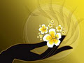 Thai Kingdom Massage logo
