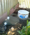 Wai Water Septic Services & Maintenance image 2