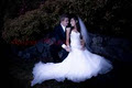 Amber Maree Photographer - Wellington wedding photographer logo