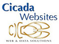 Cicada Websites image 2