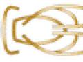 Cicada Websites logo