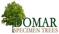 Domar Specimen Trees image 4