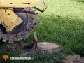Tree Removal Service image 3