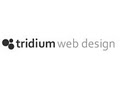 Tridium Web Design image 3