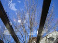 Window Cleaning & Shower Glass Restoration image 2