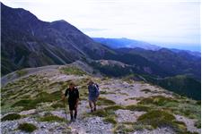 Kaikoura Wilderness Walks image 6