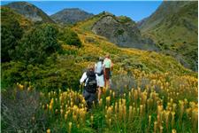 Kaikoura Wilderness Walks image 2