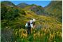 Kaikoura Wilderness Walks logo