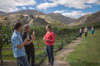 Queenstown Wine Trail image 1