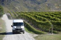 Queenstown Wine Trail image 5