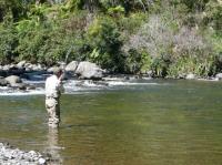 Central Plateau Fishing image 3