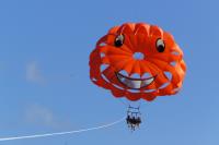 Flying Kiwi Parasail image 1