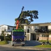 Urban Tree Surgeons image 3