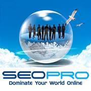 SeoPro NZ Ltd image 1