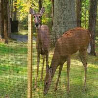 Yazheng Plastic Netting image 5