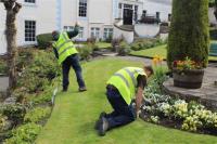 Luxury Garden Maintenance image 1