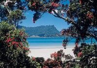 Whangarei TOP 10 Holiday Park image 2