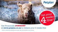 Pet Plan New Zealand image 6