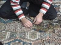 Rug Guru image 2