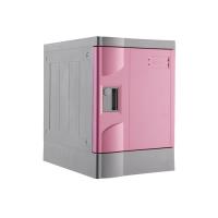 Toppla ABS HEDP Plastic Locker Manufacturer image 1