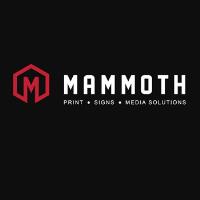 Mammoth Media image 1