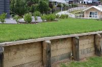 Tauranga Landscaping Ltd image 1