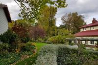 Tinui Station Homestead Cottages image 11