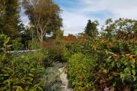 Tinui Station Homestead Cottages image 10