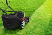 Urban Lawn Mowing image 7