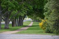 Tower Road Motel - Matamata Accommodation image 1