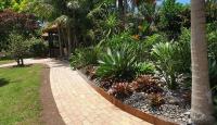 Zones Landscaping Waitakere Matt Wilkinson image 7