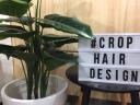 CROP HAIR DESIGN logo