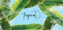 Tropical Treasures Taranaki logo