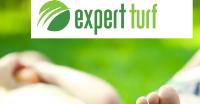 Expert Turf image 2