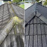 Roofpainter.co.nz image 1