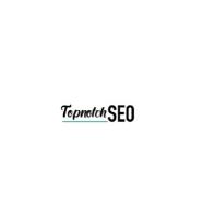 Topnotch SEO image 2